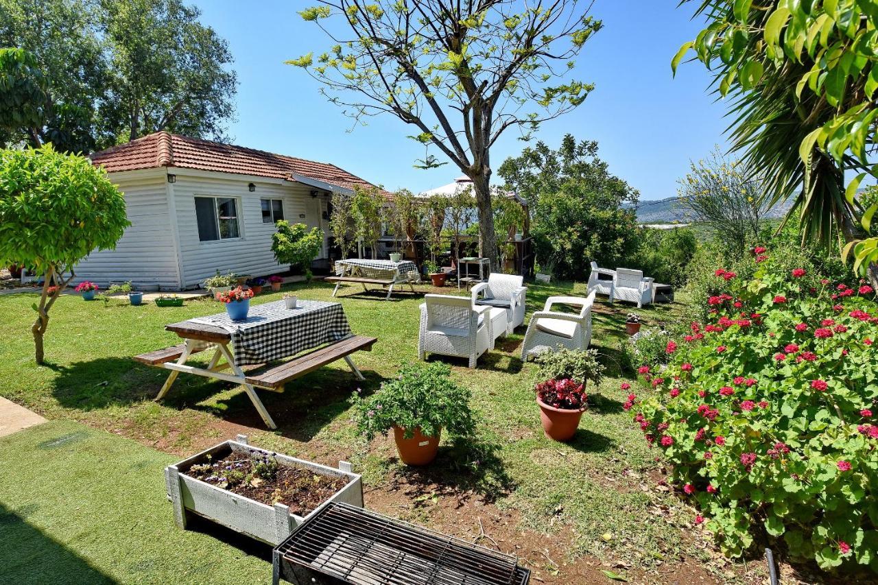 Biktot Nofim Villa Manot Exterior foto
